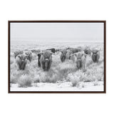 Sylvie Herd of Highland Cows Black and White Framed Canvas by The
