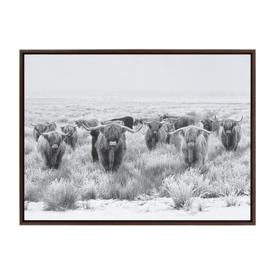 Sylvie Herd of Highland Cows Black and White Framed Canvas by The