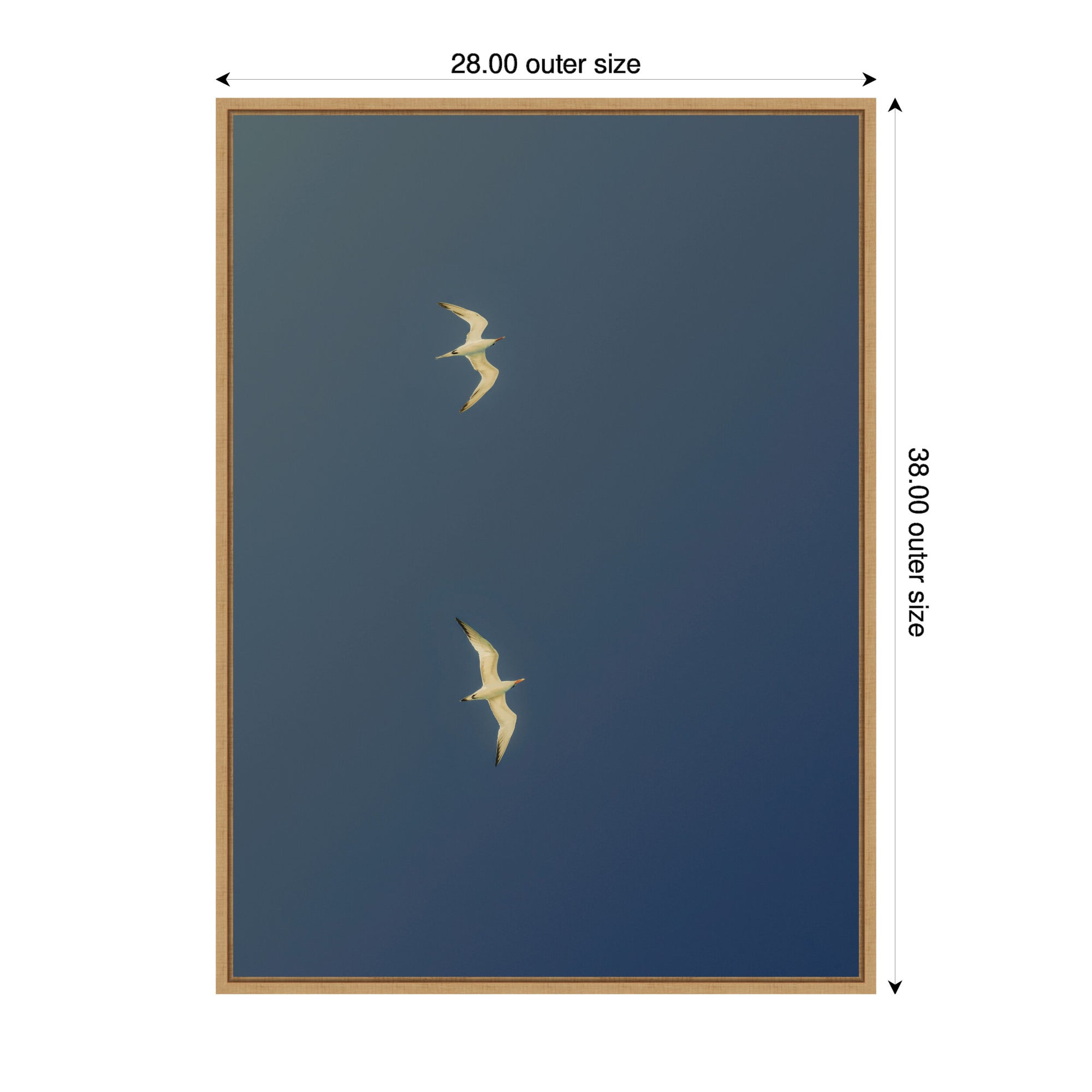Fly Away Dark Blue by Alicia Bock Framed Canvas Wall Art Print