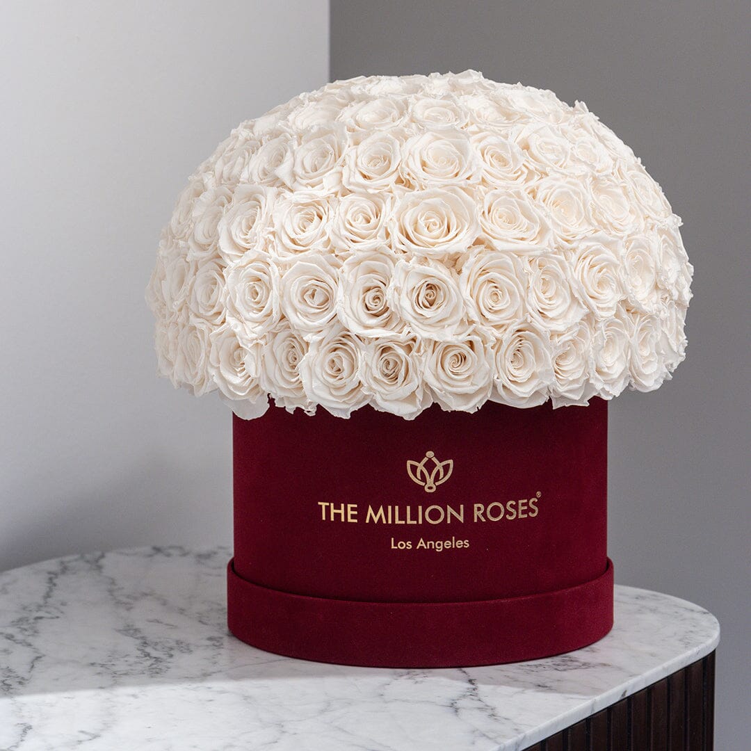 Supreme Bordeaux Suede Superdome Box by The Million Roses - product image 5 for Resin Society