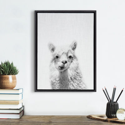 Sylvie Alpaca Framed Canvas by Simon Te of Tai Prints