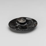 Polished oval plate featuring Ammonite and Orthoceras fossils with natural fossil patterns and polished surface