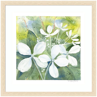 Framed Art White Phantom Hydrangea in Greens - delicate white hydrangea flowers with soft petals over lush green leaves, in a light woodgrain blonde frame.