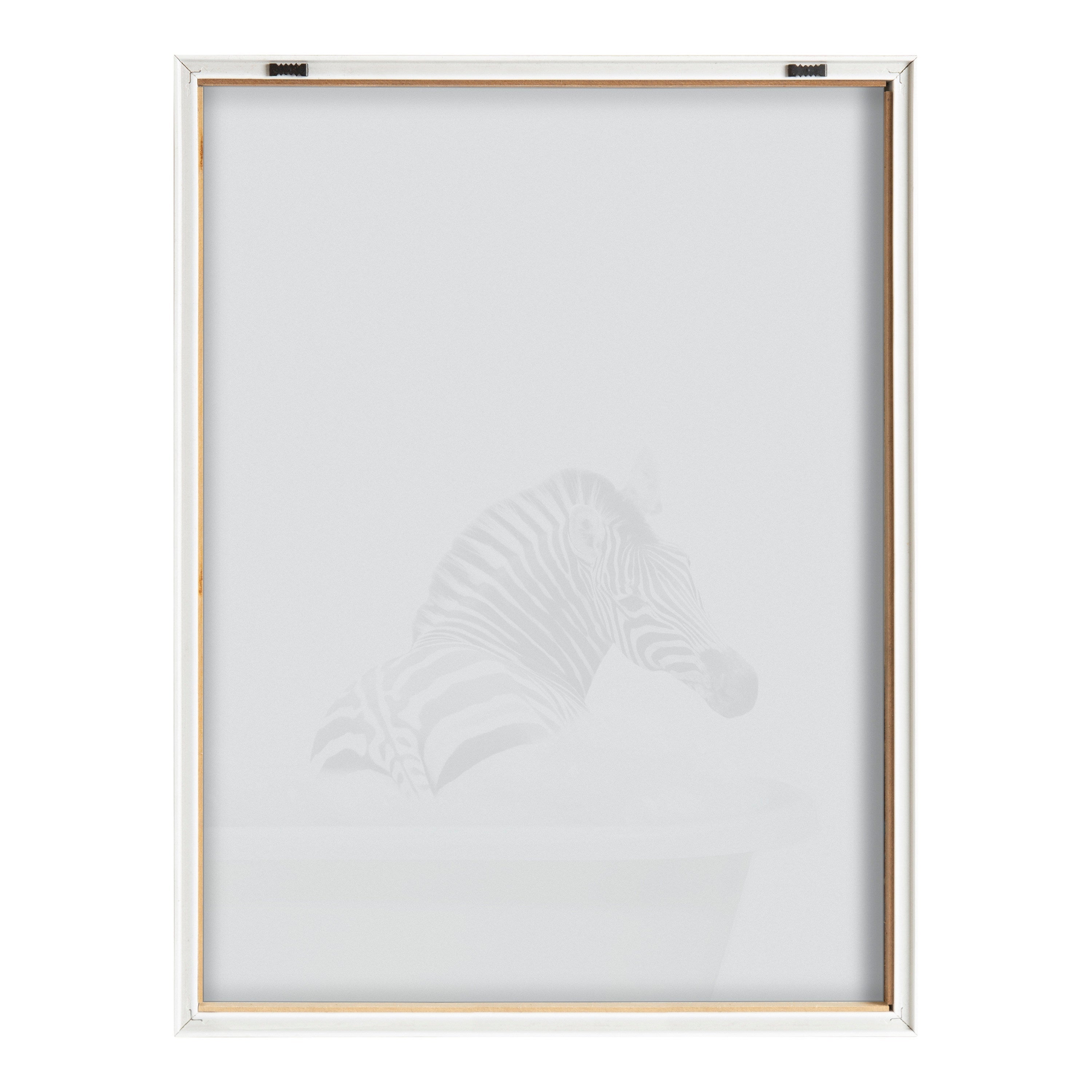 Blake Bathroom Bubble Bath Zebra Framed Printed Glass by The Creative by kateandlaurel - product image 4 for Resin Society