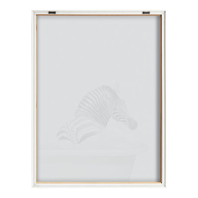 Blake Bathroom Bubble Bath Zebra Framed Printed Glass by The Creative by kateandlaurel - product image 4 for Resin Society