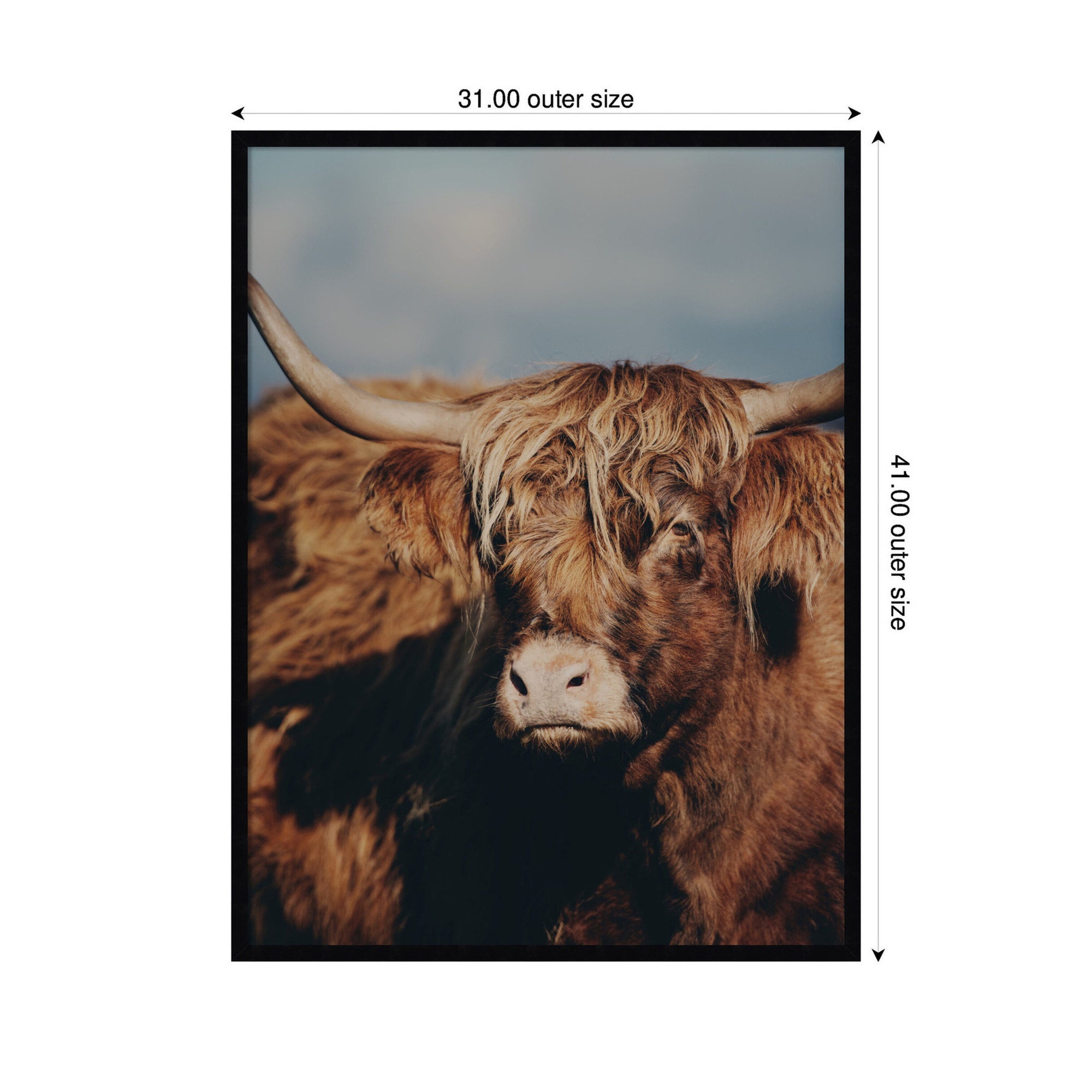 Highland Cow No.
5 by Laura Evans Framed Wall Art Print