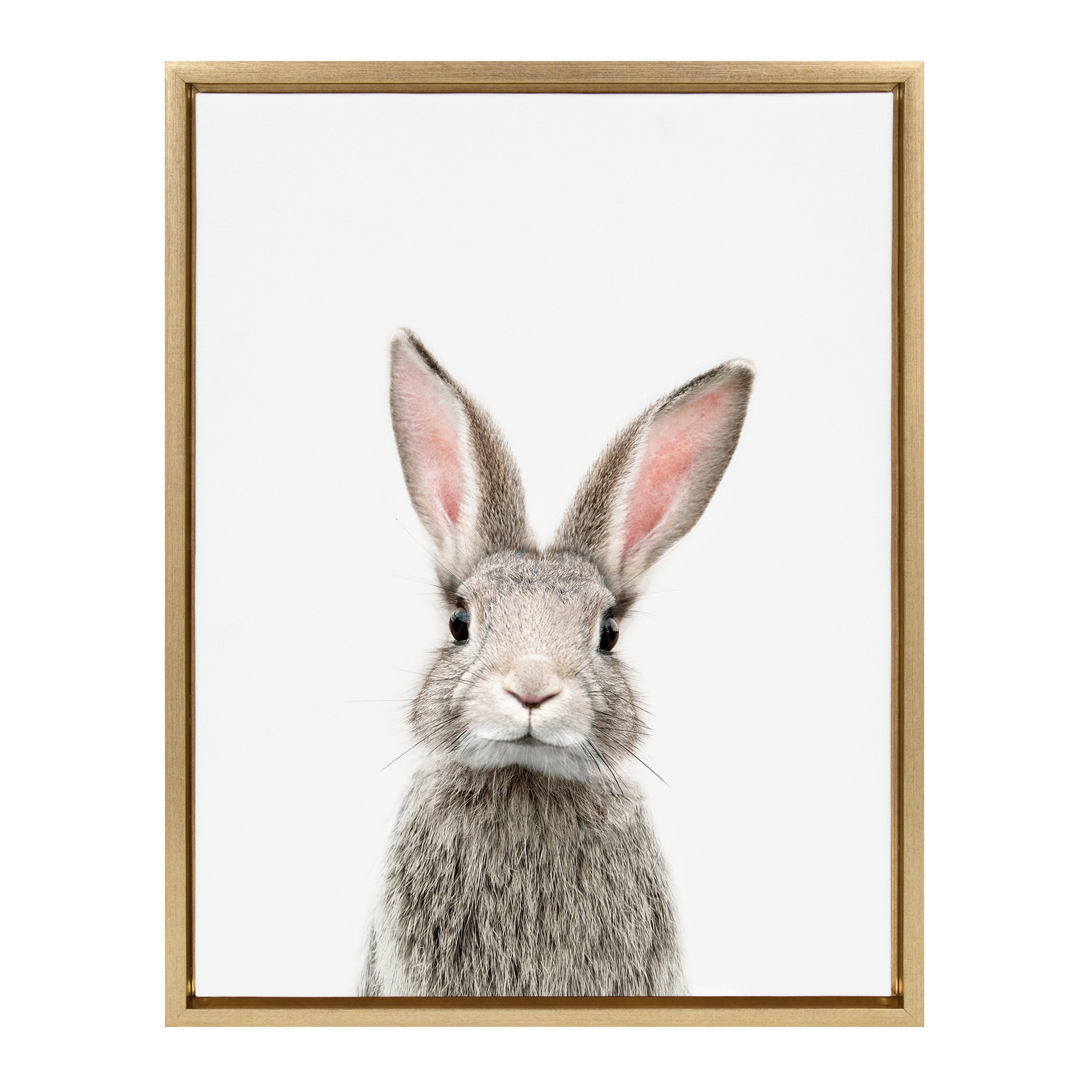 Sylvie Young Rabbit Framed Canvas by Amy Peterson Art Studio
