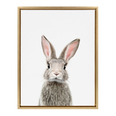 Sylvie Young Rabbit Framed Canvas by Amy Peterson Art Studio