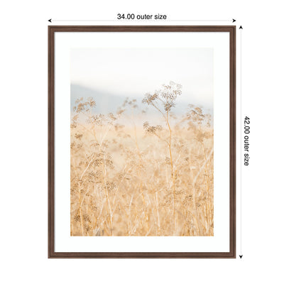 Framed Art Wild Fennel by Crystal Lynn Collins