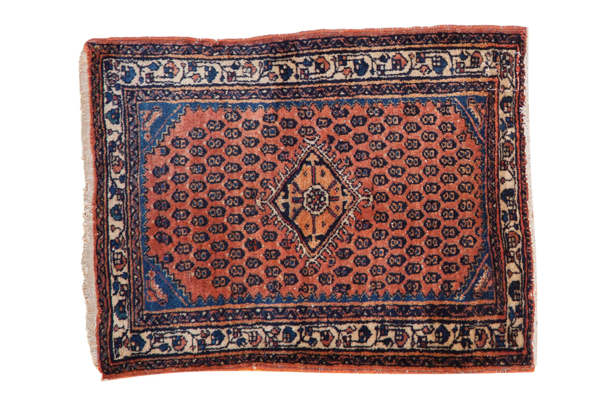 2x2.5 Engelas Rug Mat by Old New House® - main product image for Resin Society