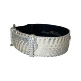 Silver snake-patterned leather collar with classic silver buckle hardware and stitched edges, shown in a curved position on white background.
