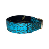 Turquoise and black snake-patterned dog collar with gold buckle hardware, showing subtle scale texture and black interior lining with gold foil branding.