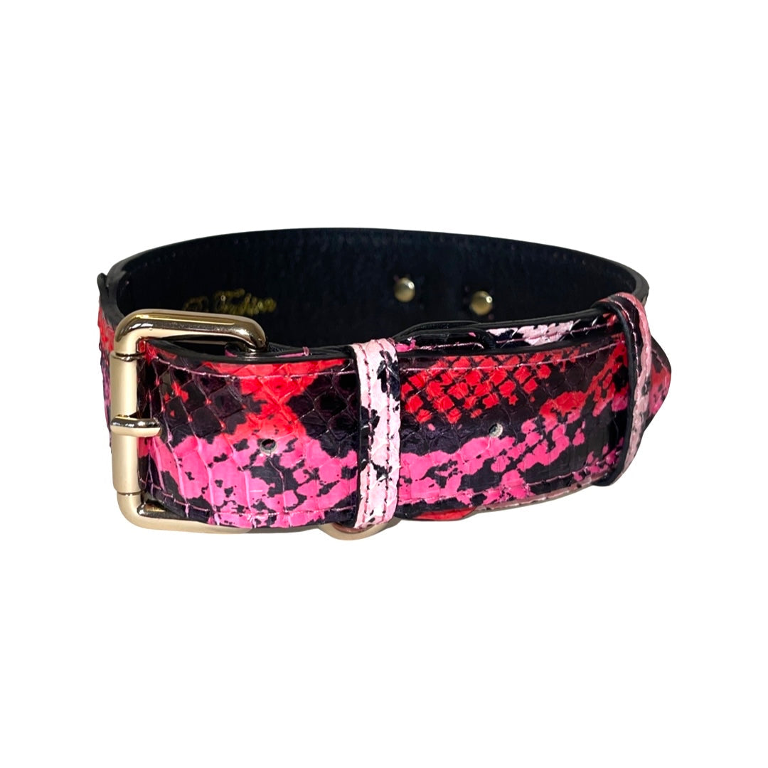 Fuchsia, light pink, red, and black snake patterned classic collar with gold hardware and soft leather lining