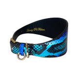 3-inch wide dog collar with electric turquoise blue and black snakeskin pattern and gold-colored metal buckle and D-ring, shown curved against white background.