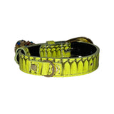 Light neon green dog collar with a snake scale pattern and gold oval metal hardware, sized for XS/S dogs 7 to 14 inches.