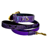 Dog collar and leash set in rich purple python leather with gold-tone metal buckle and clasp, featuring textured scales and smooth trim details.