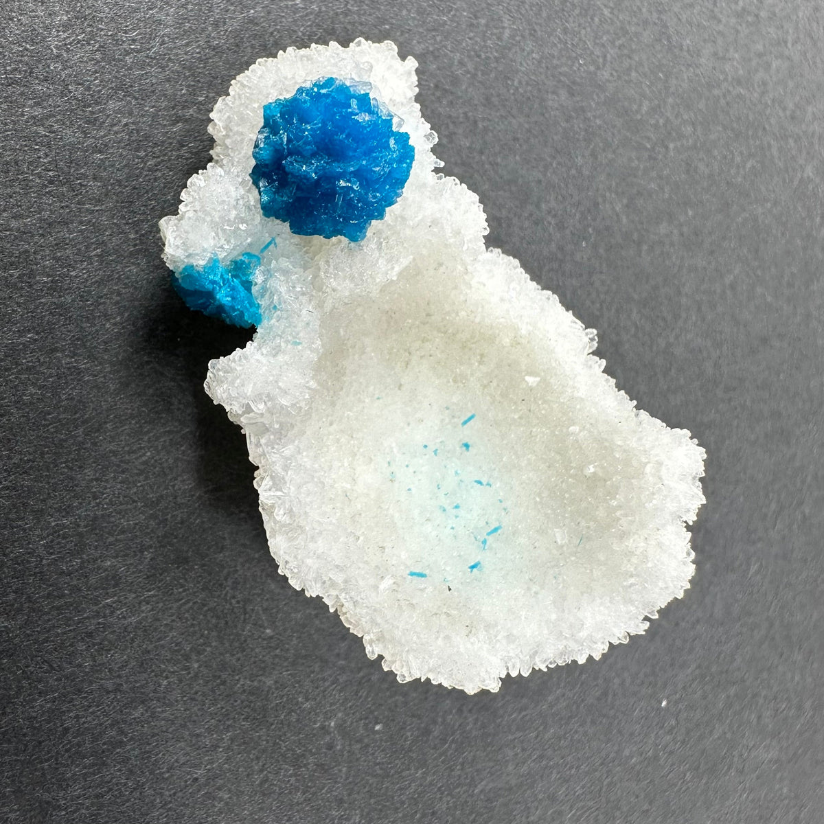 Bright blue cavansite crystal balls resting on a white, crystalline stilbite matrix against a dark background, highlighting vivid contrasting colors and textures.