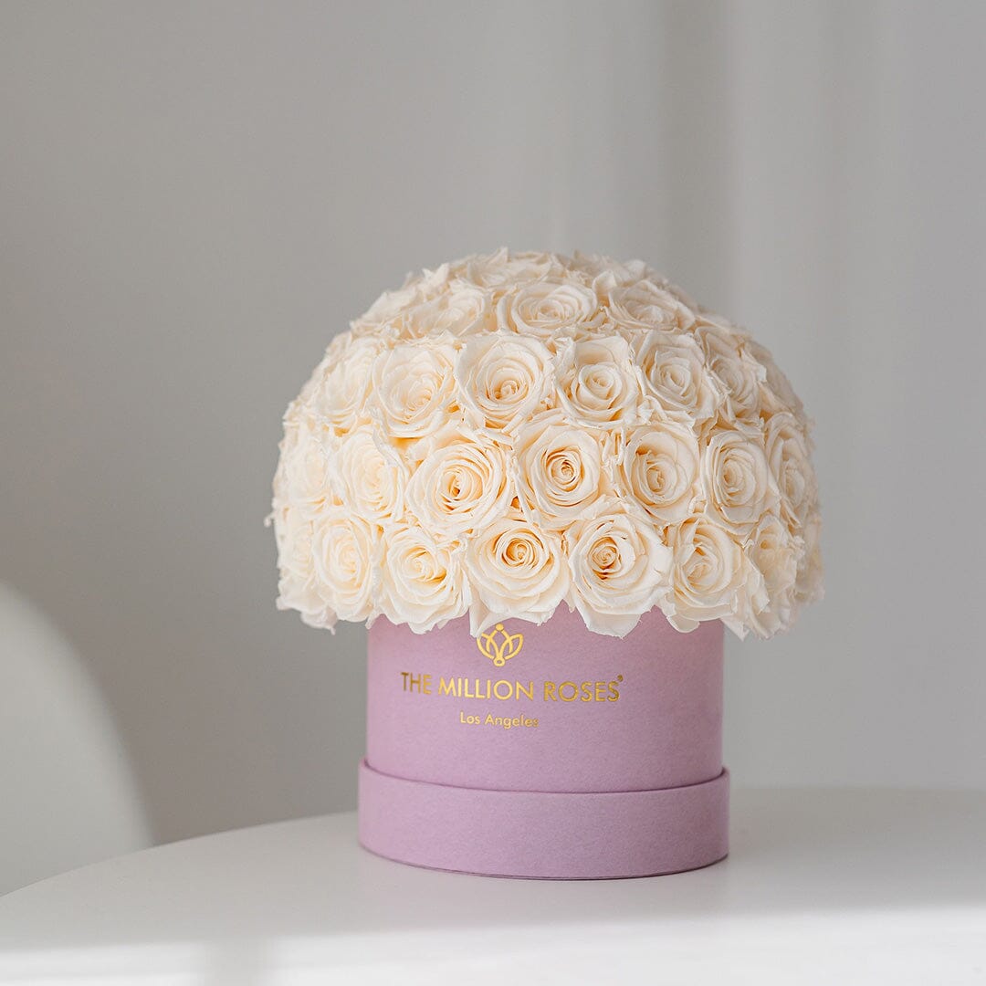Classic Light Pink Suede Superdome Box by The Million Roses - product image 5 for Resin Society