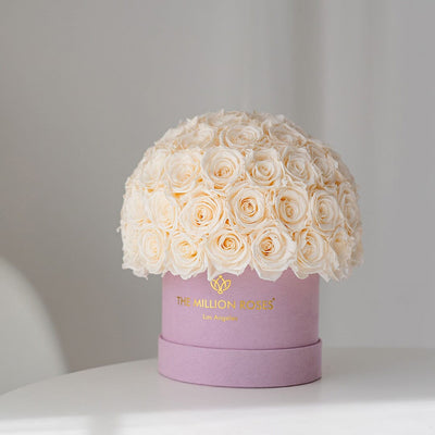 Classic Light Pink Suede Superdome Box by The Million Roses - product image 5 for Resin Society