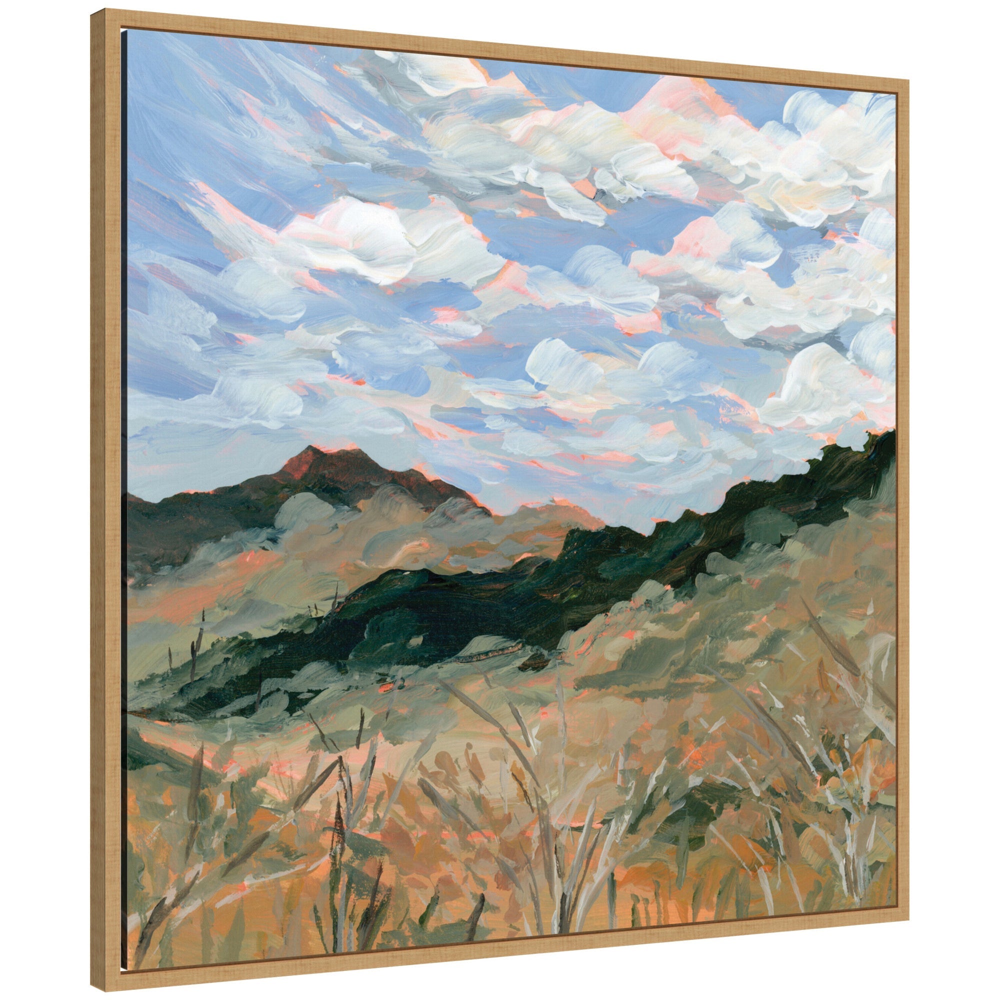 Arkansas by Emily Kenney Framed Canvas Wall Art Print