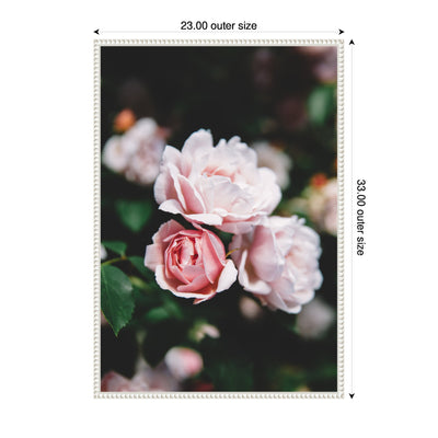 Sylvie Delicate Light Pink Rose Floral Framed Canvas by Patricia Hasz