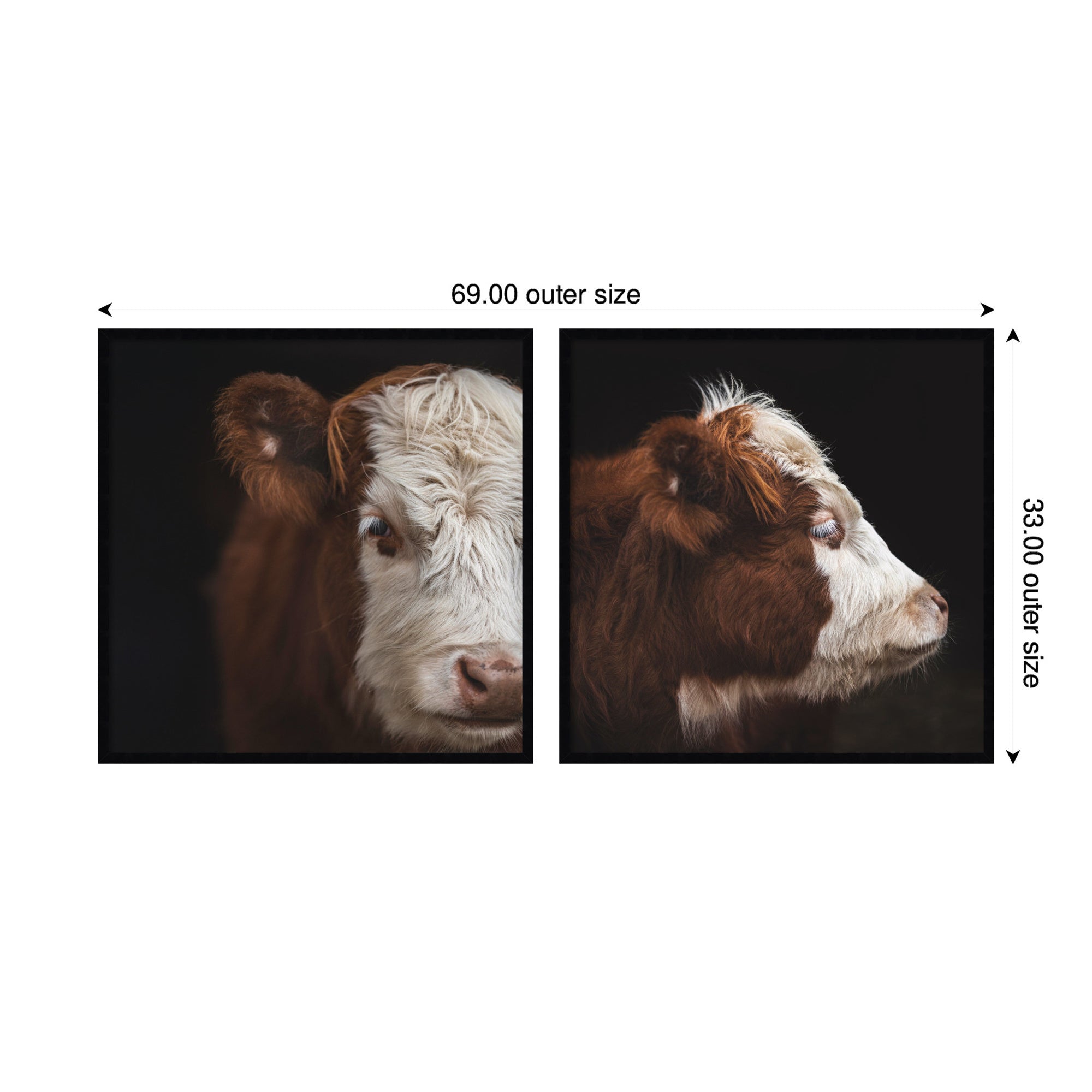Cow Close 2 Piece Framed Wall Art Print Set by Emiko and Mark Franzen F2 Images