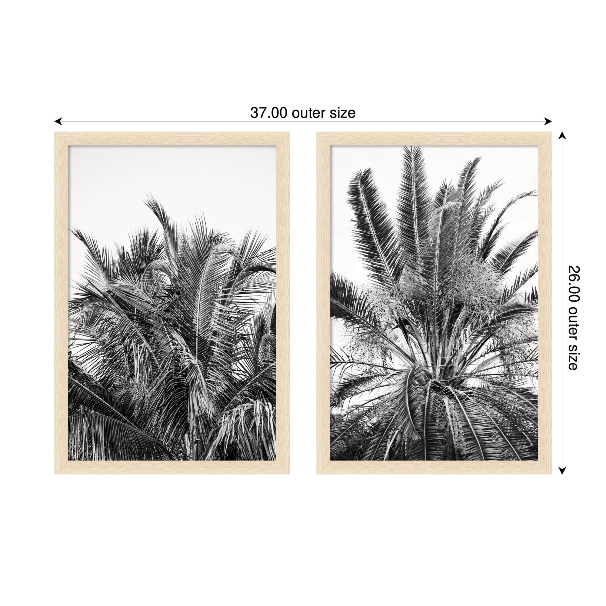 Palm No.
13 & 15 2 Piece Framed Wall Art Print Set by Alicia Bock