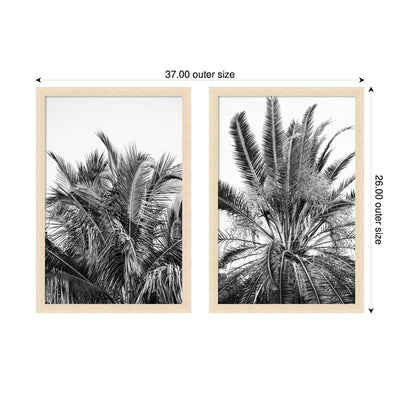 Palm No.
13 & 15 2 Piece Framed Wall Art Print Set by Alicia Bock