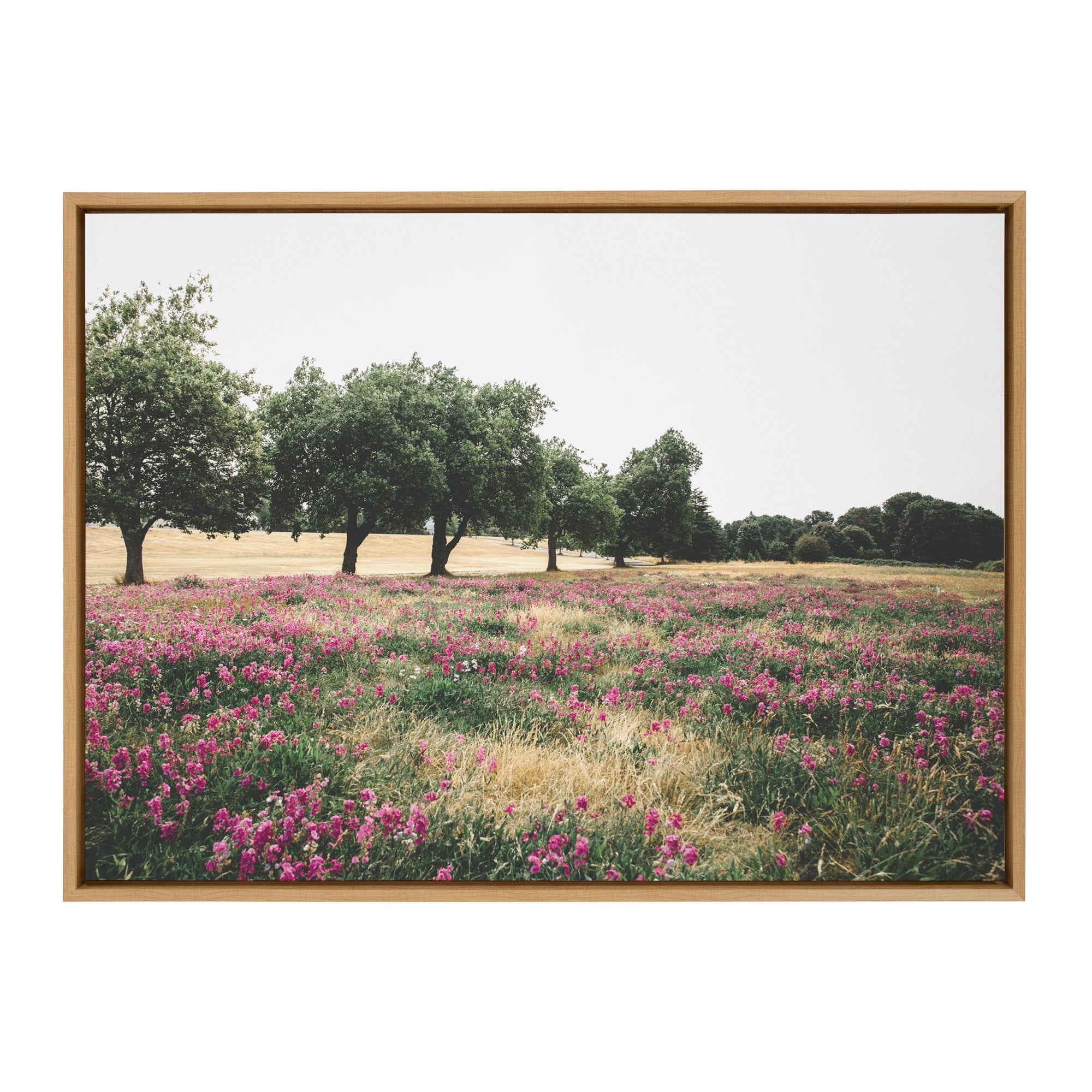 Sylvie Summer Lovin framed canvas art by Patricia Hasz showing a simple landscape with natural finish frame
