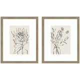 Two framed line drawings of protea flowers in transparent vases, set against light beige backgrounds with natural wood frames and white mats.