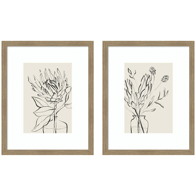 SB Protea Sketch No.
1 & No.
2 2 Piece Framed Wall Art Print Set by Sara Berrenson