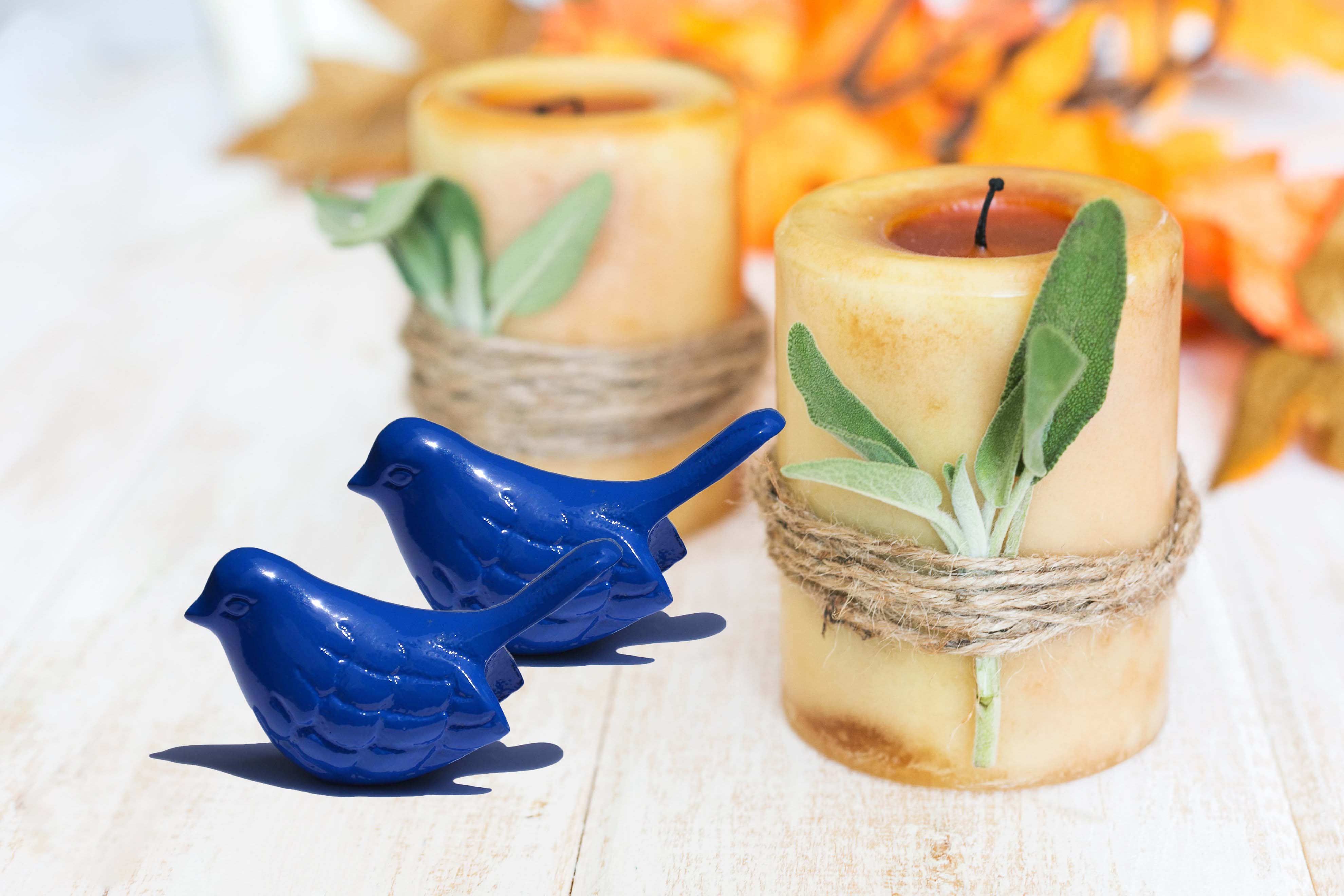 Two bluebird figurines side by side on a wooden surface