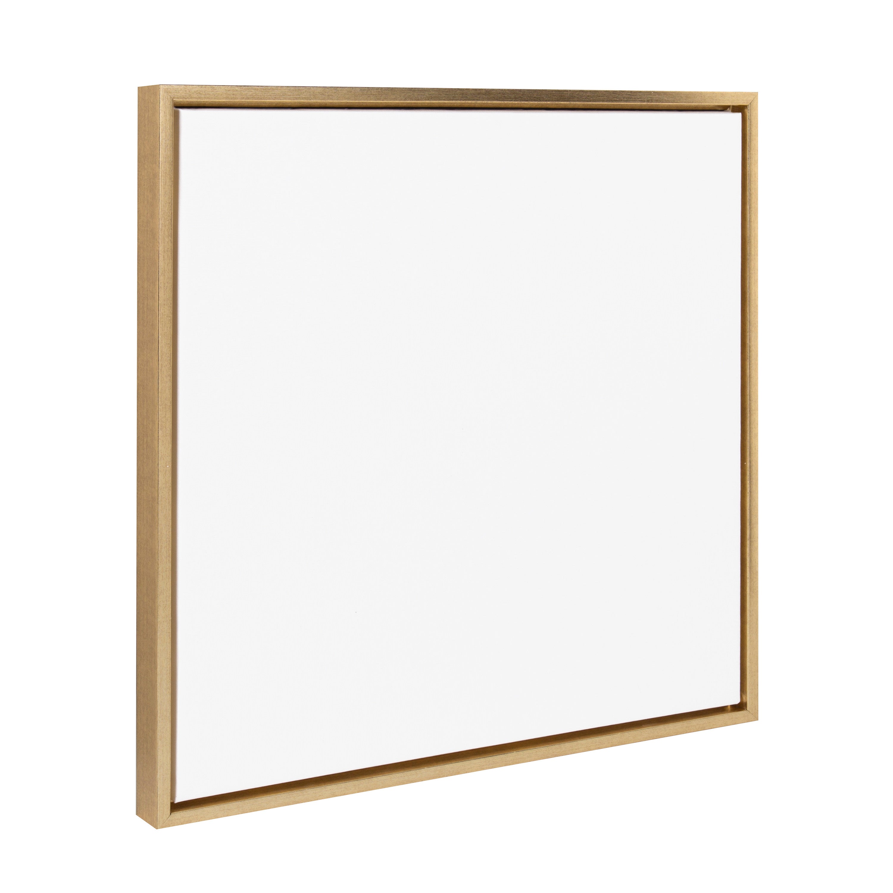 Sylvie Blank Framed Canvas 22x22