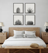 Sylvie Haze Agave Succulent Framed Canvas by The Creative Bunch Studio