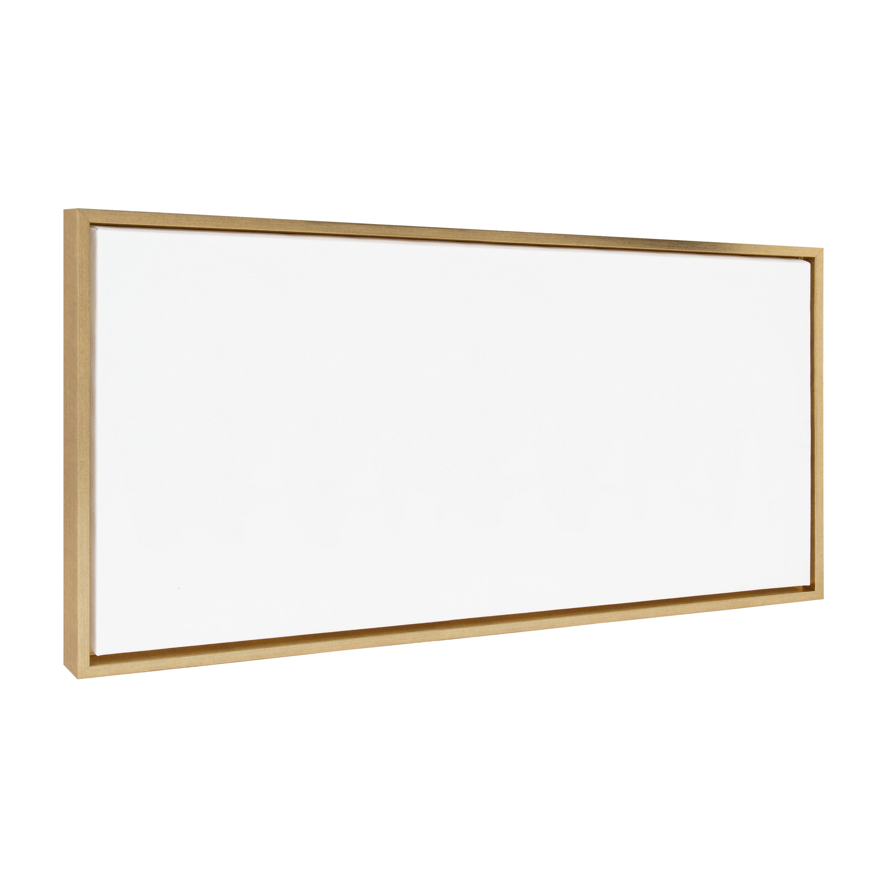 Sylvie Blank Framed Canvas 18x40