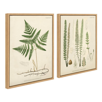 Sylvie Ferns Framed Canvas Set by kateandlaurel - product image 2 for Resin Society
