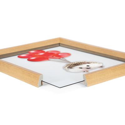Blake Hedgehog Balloons Framed Printed Glass by Amy Peterson Art Studio by kateandlaurel - product image 3 for Resin Society