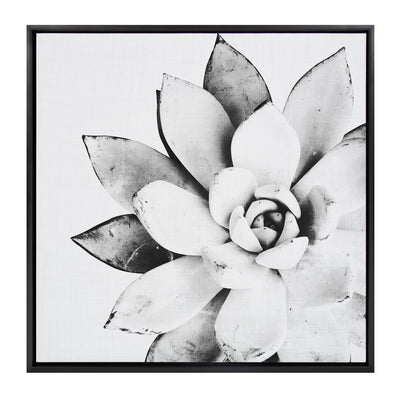 Sylvie Succulent Framed Canvas by Simon Te of Tai Prints