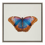 Sylvie Coppertop Butterfly Framed Canvas by kateandlaurel - main product image for Resin Society