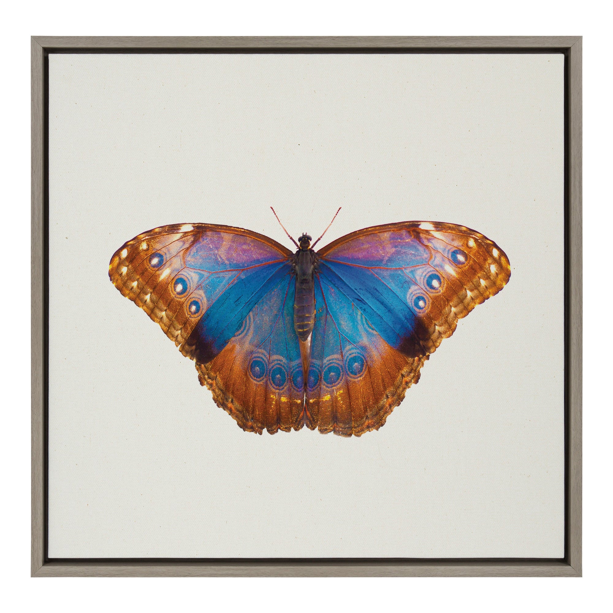 Sylvie Coppertop Butterfly Framed Canvas by kateandlaurel - main product image for Resin Society