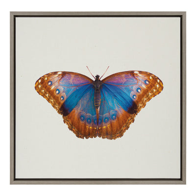 Sylvie Coppertop Butterfly Framed Canvas by kateandlaurel - main product image for Resin Society