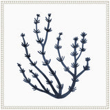 Black silhouette of delicate seaweed-like branches with small rounded tips against a white textured background within a decorative white frame.