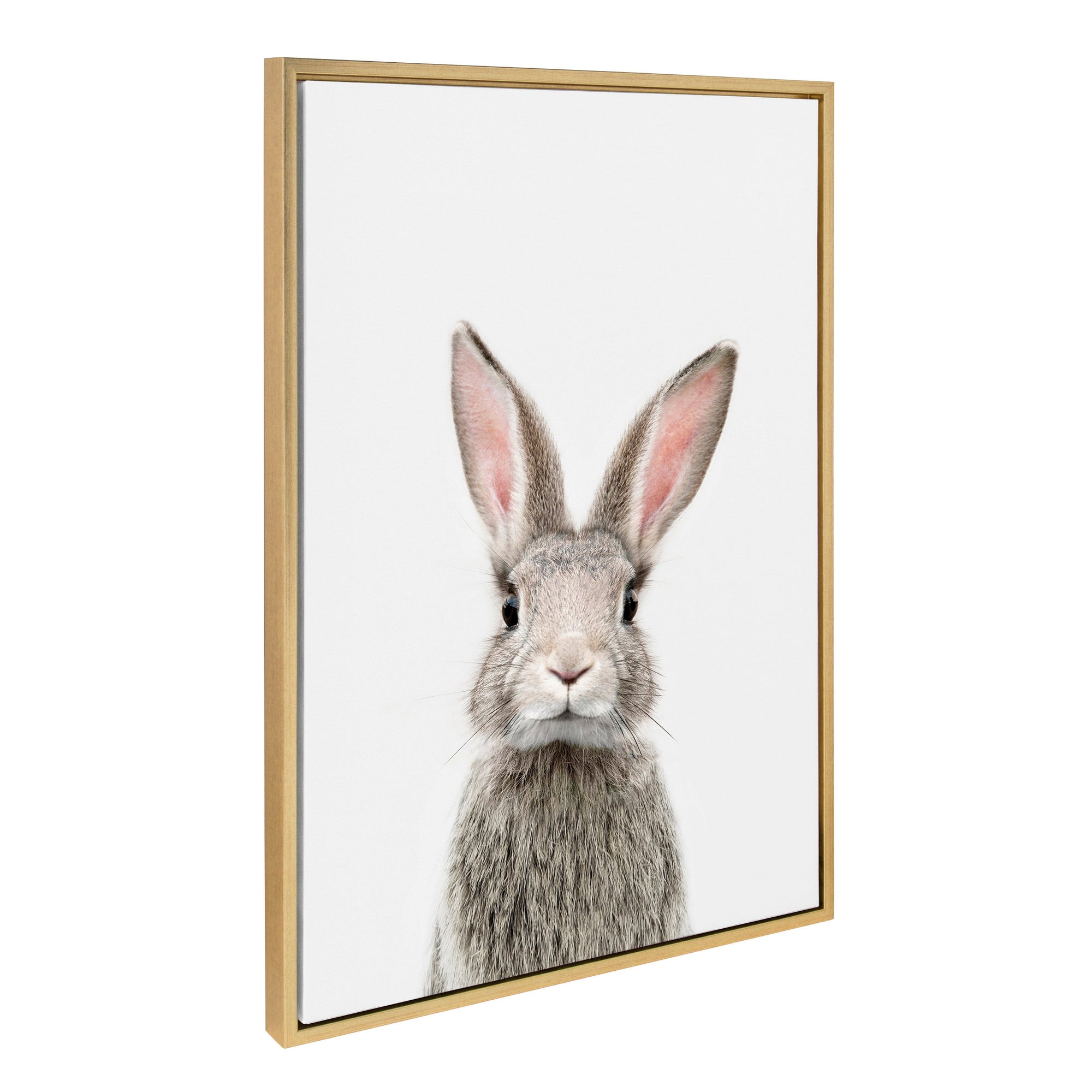 Framed canvas art of a young rabbit by Amy Peterson Art Studio in a light polystyrene frame