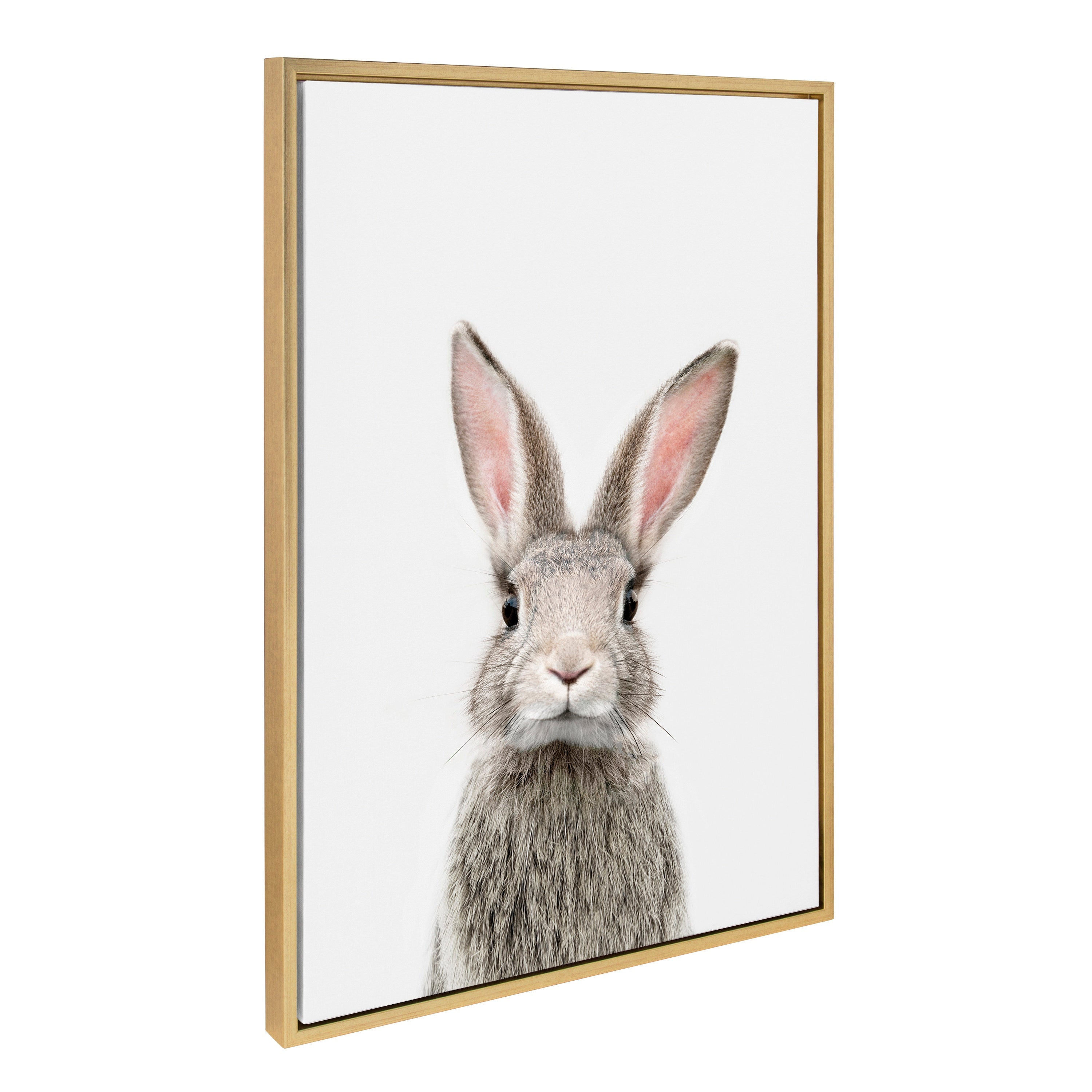 Framed canvas art of a young rabbit by Amy Peterson Art Studio in a light polystyrene frame