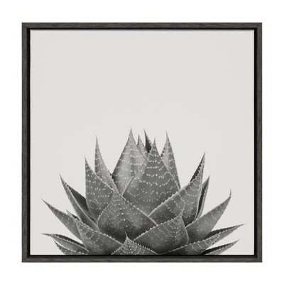 Sylvie Haze Aloe Succulent Framed Canvas by The Creative Bunch Studio