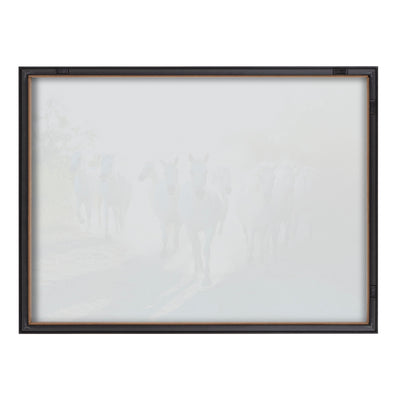 Blake Camargue Horse XIII Framed Printed Glass by Laura Evans by kateandlaurel - product image 4 for Resin Society