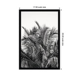 Black and white framed wall art print featuring a close-up view of palm tree leaves with differing lengths and textures, set against a plain white background.