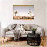 Neutral-toned living room with a light gray sofa adorned with a textured gray throw and round beige pillow, a black woven coffee table holding a small green plant, and a framed desert road photograph above.