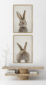 Two framed canvas prints stacked vertically showing a brown bunny; the top image is a front portrait with ears upright, the bottom shows the bunny's back with its tail visible.
