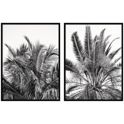 Palm No.
13 & 15 two piece framed wall art set by Alicia Bock showing botanical palm imagery in wooden frames